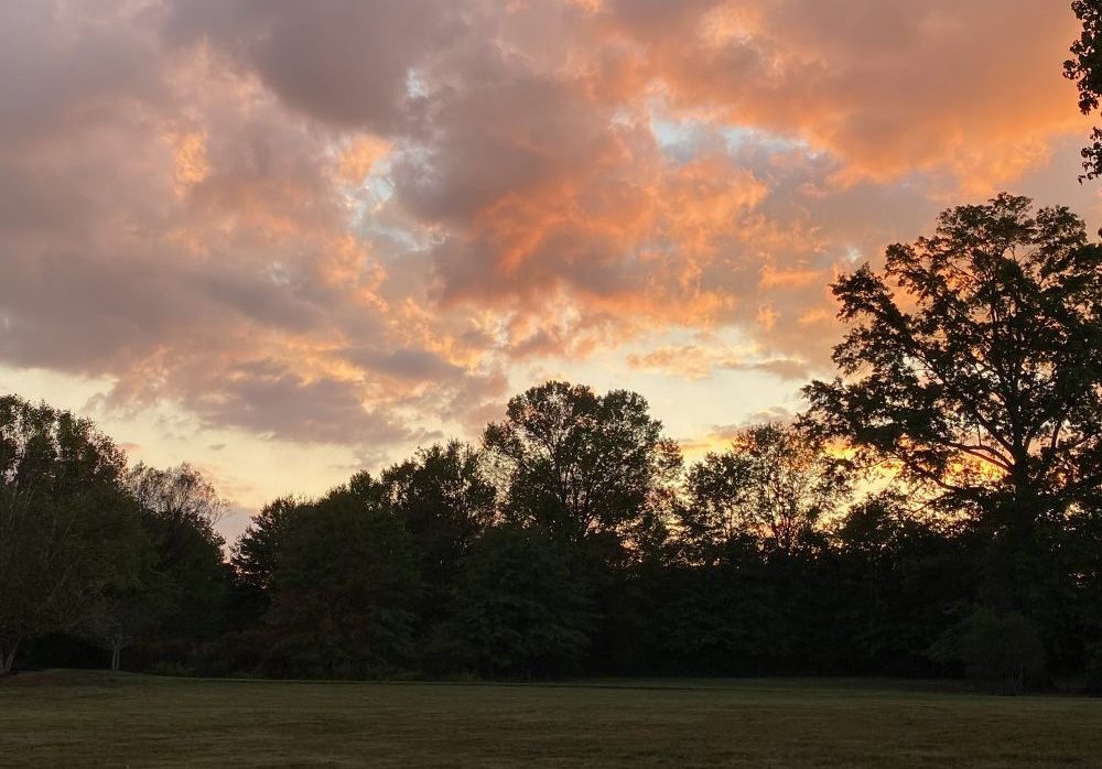 evening1000X698